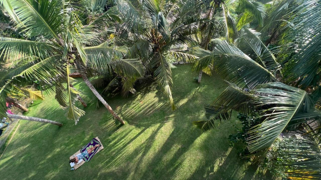 Wilson'S Place ディックウェラ エクステリア 写真
